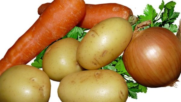 Zanahorias