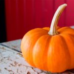 ¡Qué rica está la calabaza y qué poco nos acordamos de ella! (Photo by Nikhita Singhal on Unsplash)