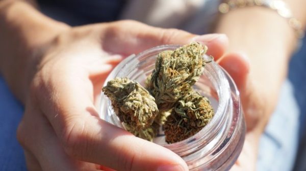 ¿Qué son las flores de CBD? (Foto: Pixabay)