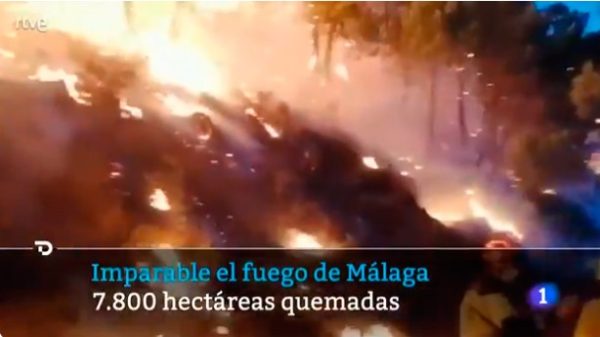 El incendio de Sierra Bermeja