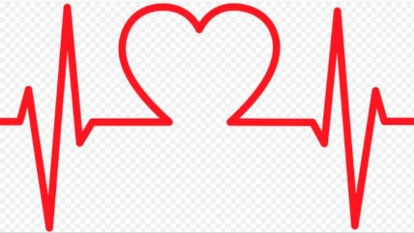 Hoy se celebra el Día Mundial del Corazón. (Imagen: Pixabay)