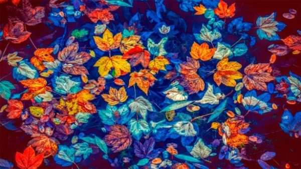 Sólo aquellos que se atreven a cumplir sus sueños entran en la historia. (Foto: Couleur/Pixabay)
