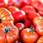 Ricos tomates a la espera de su relleno. (Photo by Bartosz Kwitkowski on Unsplash)