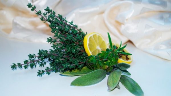 Cocinar con hierbas es una buena forma de usar menos sal. (Foto: Pixabay)