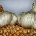Garbanzos