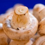 Champiñones frescos para una rica salsa. (Foto: Engin_Akyurt/Pixabay)