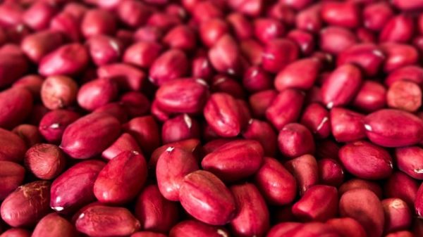 Alubias rojas para un plato muy tradicional con extraño nombre. (Photo by Ashton Huang on Unsplash)