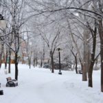 Nieva en gran parte de España en la primera embestida del invierno. (Foto: Pixabay)