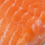 Salmón