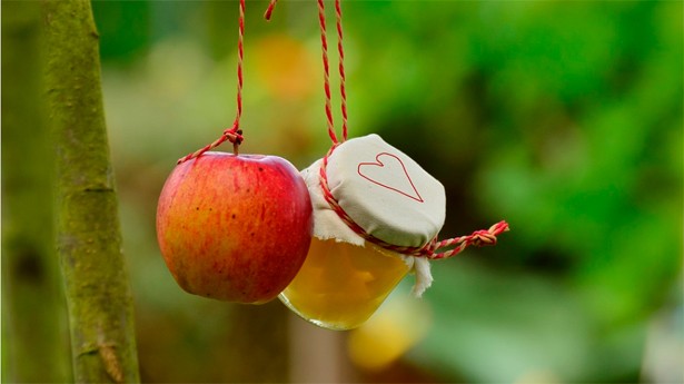 Las manzanas se pueden tomar de muchas maneras