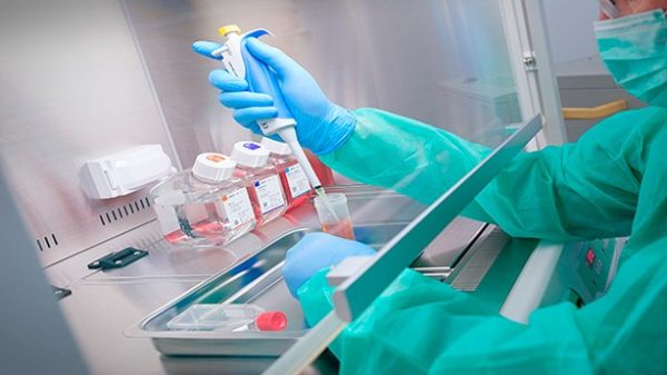 Especialistas en medicina biológica y regenerativa. (Foto: M. D.)
