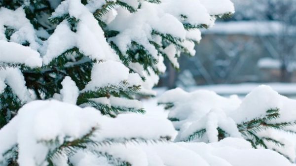 En las cordilleras del centro seguirá nevando. (Foto: Pixabay)