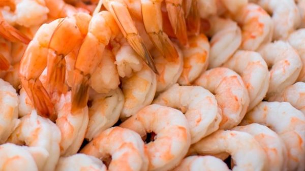 Con gambas y un poco de ajo y guindilla preparas una alubias mágicas. (Foto: Pixabay)