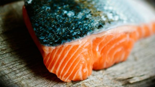 Salmón para celebraciones especiales. (Foto: Pixabay)