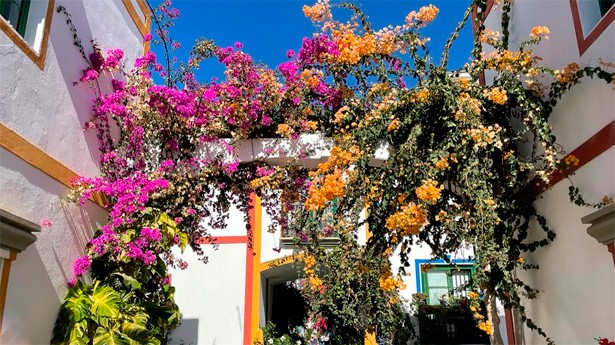 Puerto de Mogán