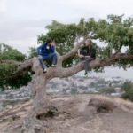 Santi y Jesús subidos a un árbol. (Foto: Cuatro)