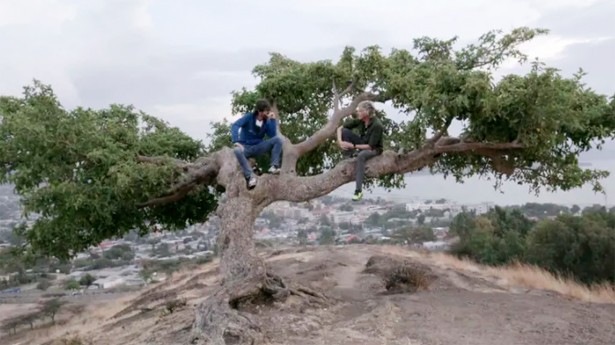 Santi y Jesús subidos a un árbol. (Foto: Cuatro)