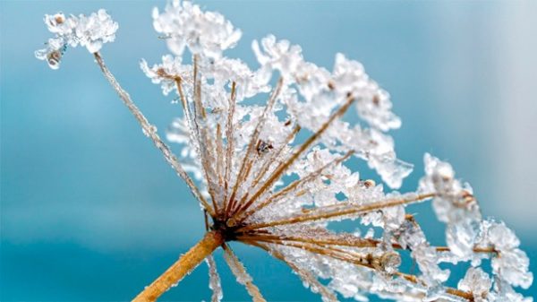 Sigue el frío y apenas habrá lluvia. (Foto: Pixabay)