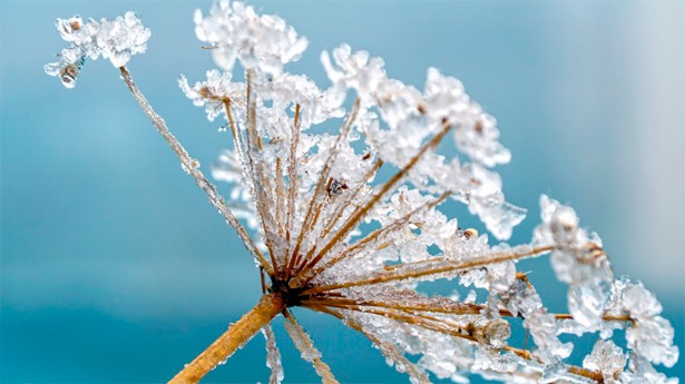 Sigue el frío y apenas habrá lluvia. (Foto: Pixabay)