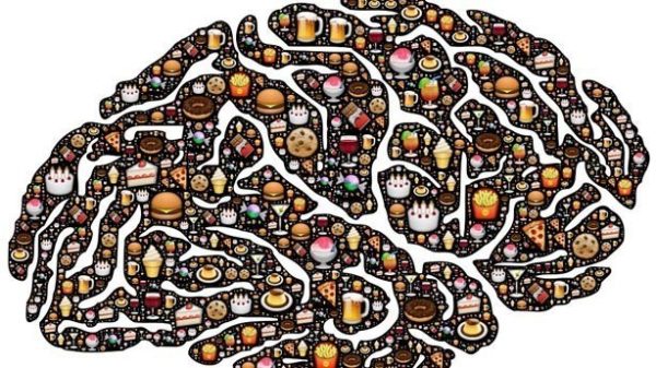 El cerebro reinventa recuerdos. (Imagen: Pixabay)