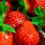 Es mejor escoger frutos pequeños. (Photo by Justus Menke on Unsplash)
