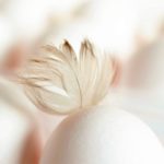 Seis huevos cocidos para un plato muy original. (Foto: congerdesign/Pixabay)