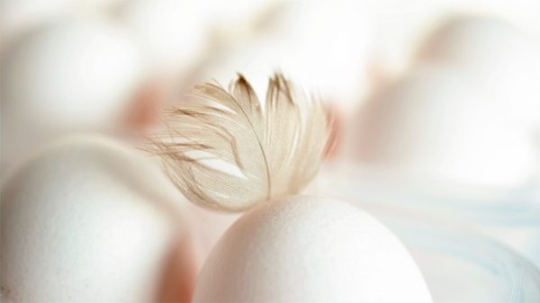 Seis huevos cocidos para un plato muy original. (Foto: congerdesign/Pixabay)