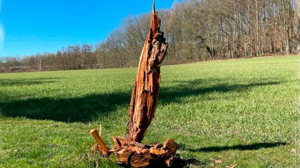 Nunca pienso en el futuro. Seguro que llega demasiado pronto. (Foto: Dagmar Laubsch)