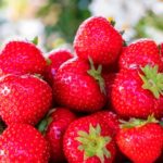 (Foto: NickyPe/Pixabay)