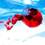 In vino veritas. (Foto: MasterTux/Pixabay)