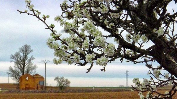 A los valientes les ayuda la suerte. (Foto: Boadilla de Rioseco Arte)
