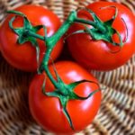 Ricos tomates para rellenar con bonito del norte y queso. (Foto: Pixabay)