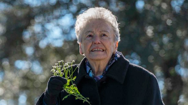 María Galiana es Herminia