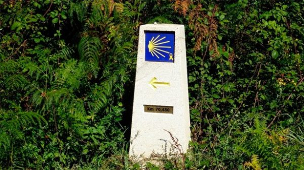 El Camino de Santiago y la literatura en "Página 2". (Foto: Pixabay)