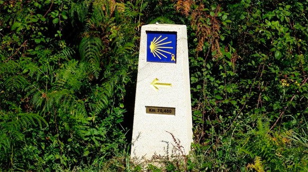 El Camino de Santiago y la literatura en "Página 2". (Foto: Pixabay)