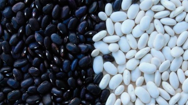 Para esta receta nos interesan los frijoles negros. (Foto: artverau/Pixabay)
