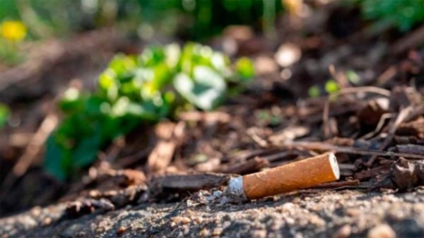 El tabaco además de matar