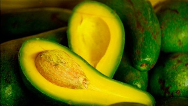 Esos aguacates siempre ricos