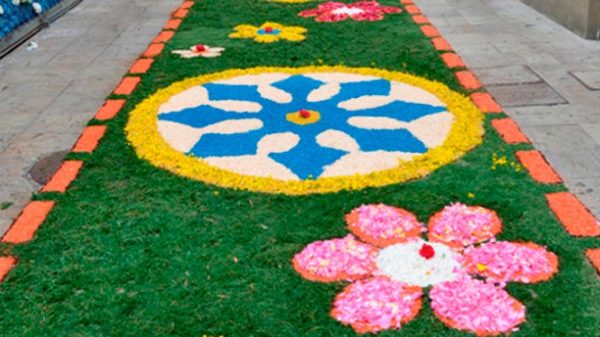 Nunca hay dos alfombras iguales y su extensión puede llegar a ocupar dos kilómetros de superficie. (Foto: Ayto. Carrión de los Condes)