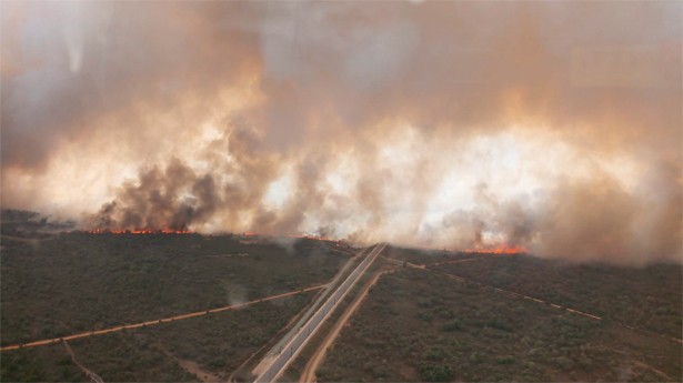 El incendio de Sierra de la Culebra se ha convertido en el peor de la historia de Castilla y León. (Foto: @naturalezacyl/Twitter)