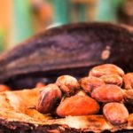 Hoy se celebra el Día Mundial del Cacao. (Foto: Pixabay)