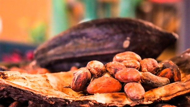 Hoy se celebra el Día Mundial del Cacao. (Foto: Pixabay)
