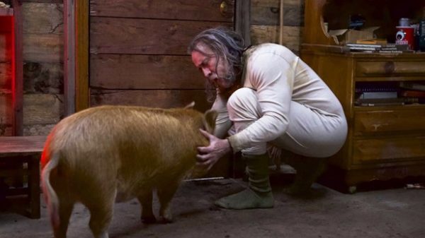PIG