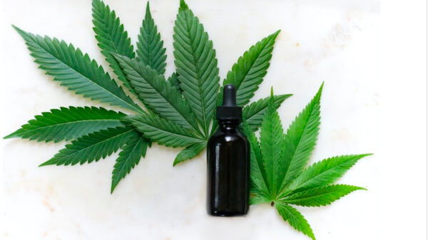 Usos del CBD: ¿Los conoces? Usos del CBD: ¿Los conoces?