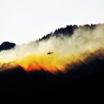 Prevención de Incendios Forestales, Robert Redford, Patrick Swayze, y un taco con sal
