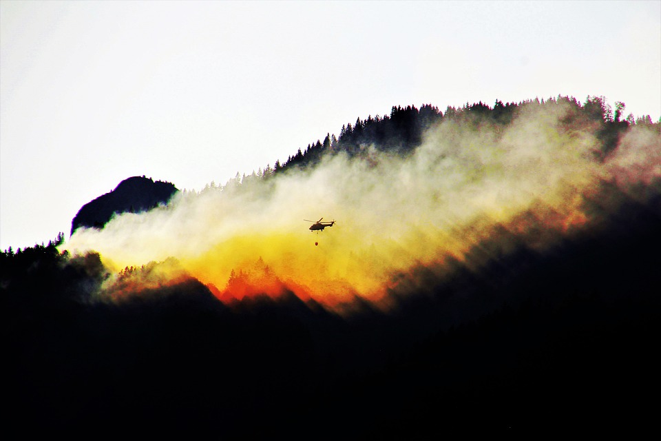 Prevención de Incendios Forestales, Robert Redford, Patrick Swayze, y un taco con sal