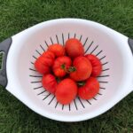 Ensalada de la huerta en capas con arroz, tomates y ventresca Ensalada de la huerta en capas con arroz, tomates y ventresca
