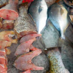 Deliciosa merluza al perejil con patatas y guisantes
