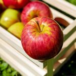 Manzana en gajos dorados al horno, un postre diferente Manzana en gajos dorados al horno, un postre diferente