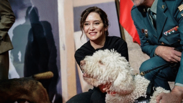 Feijóo y Ayuso contra la cesión de alto voltaje de Sánchez a Bildu en Navarra
